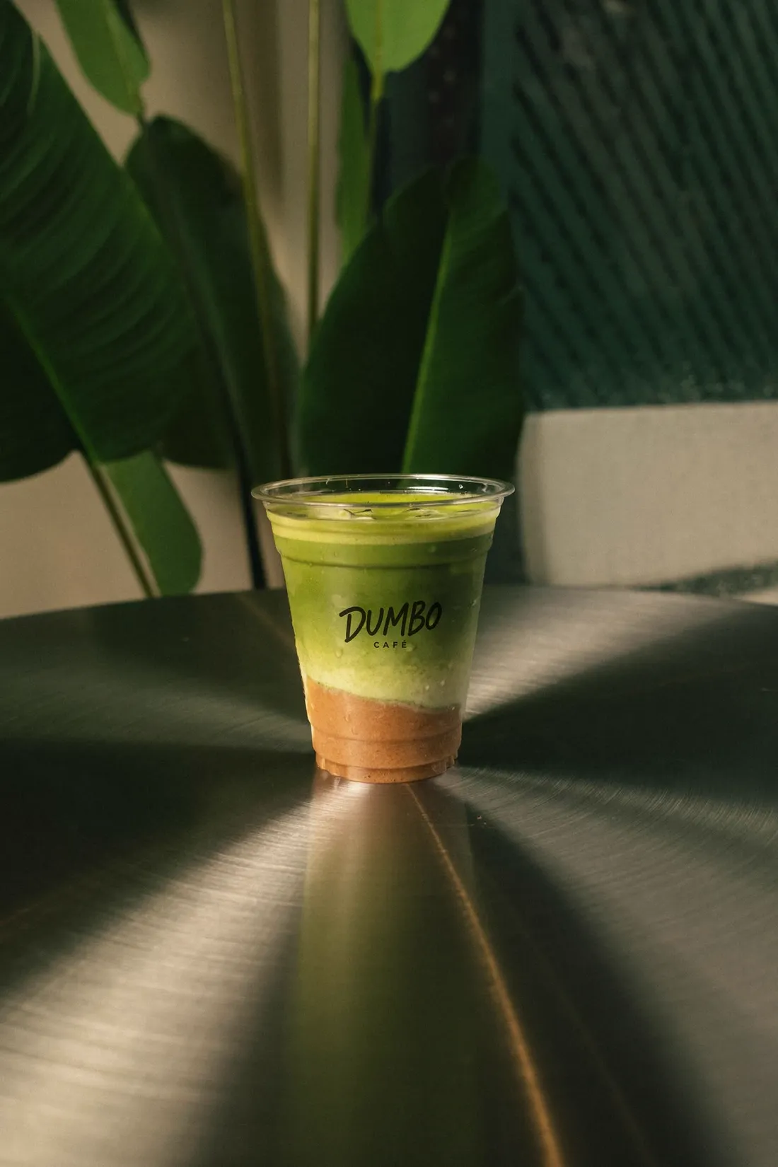 Layered matcha latte in a Dumbo Café cup, plant shadows behind